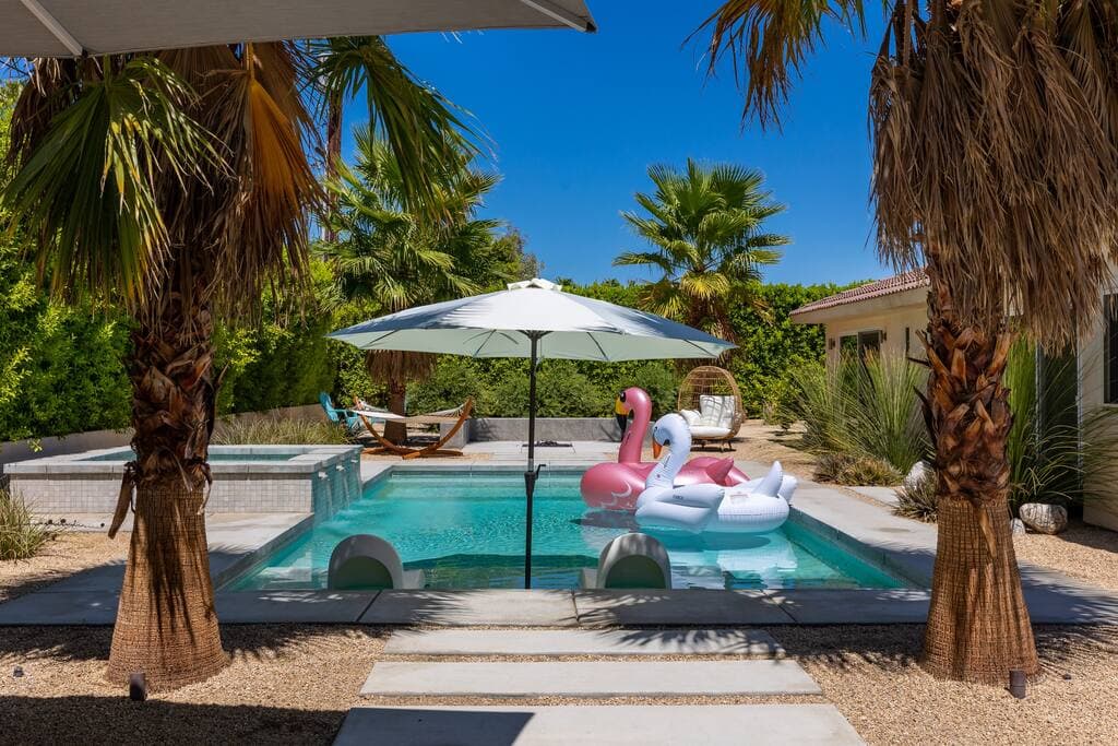 Lux Palmas - Image 38