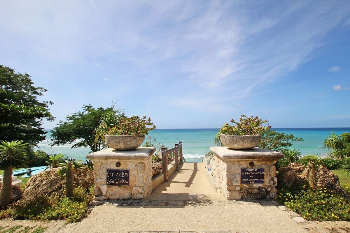 Barclaya Manor - Image 23