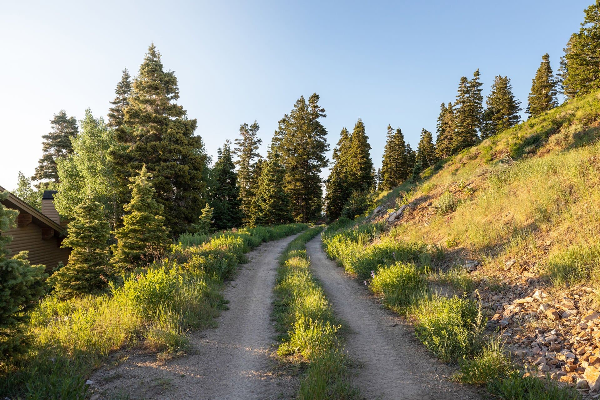 Double Eagle #3 - Image 30