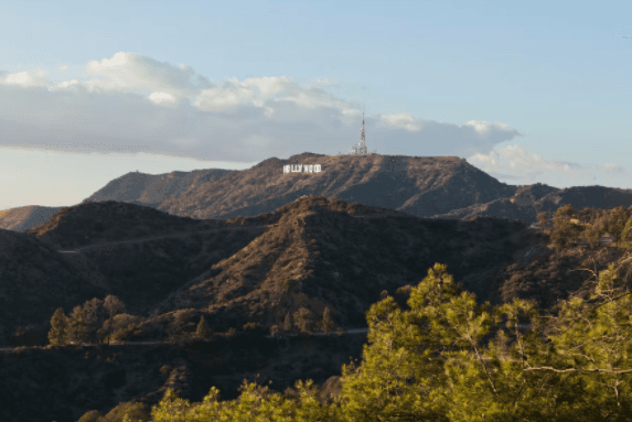 Hillside House - Image 44