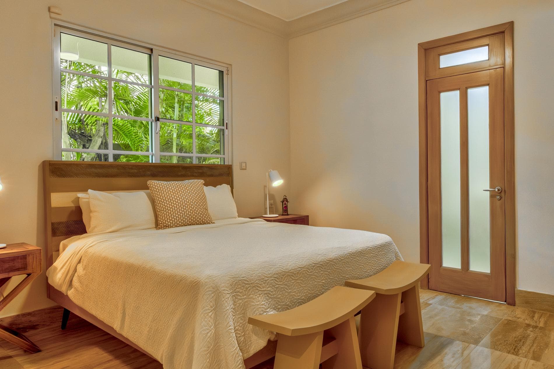 Tortuga #B55 - Image 5