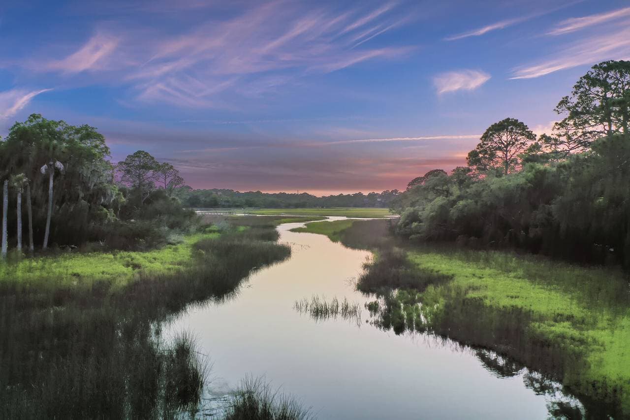 Otter Island Getaway - Image 56