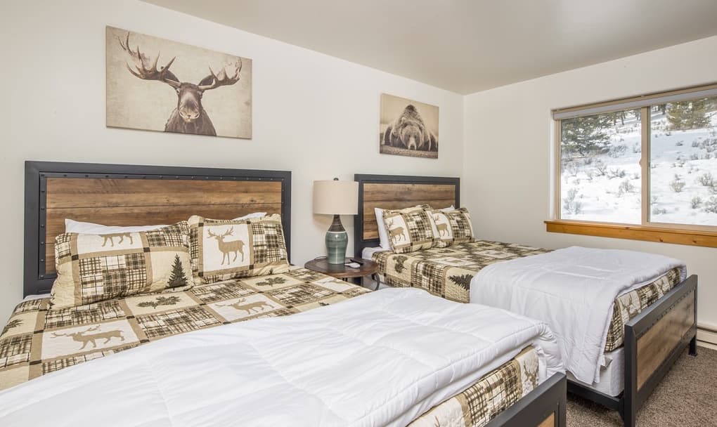 Blacktail Buck - Image 20