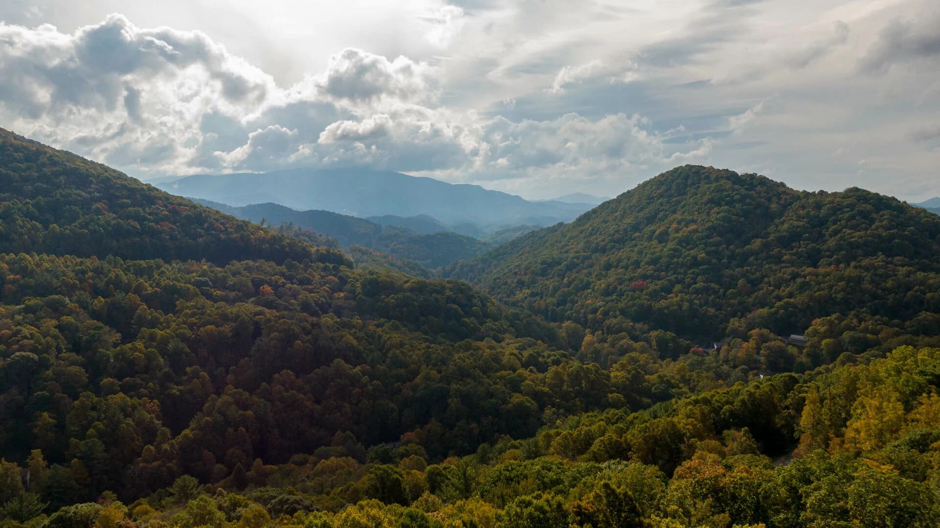 Homestead Lodge Villa - Image 47