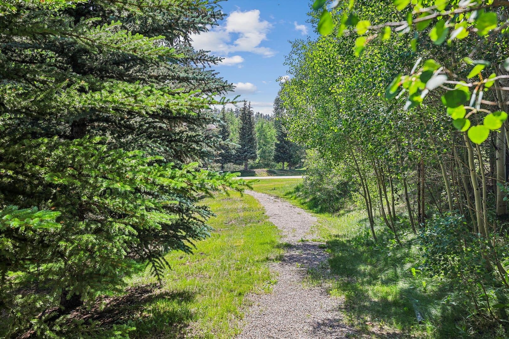 Highland Greens #25 - Image 3
