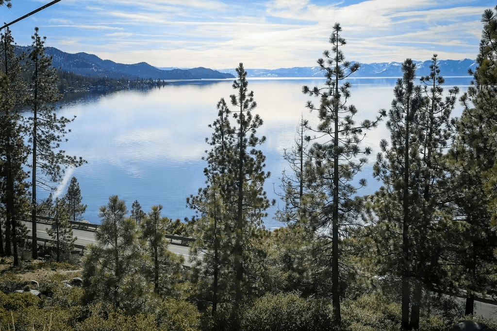 Peace Among Pines  - Image 20