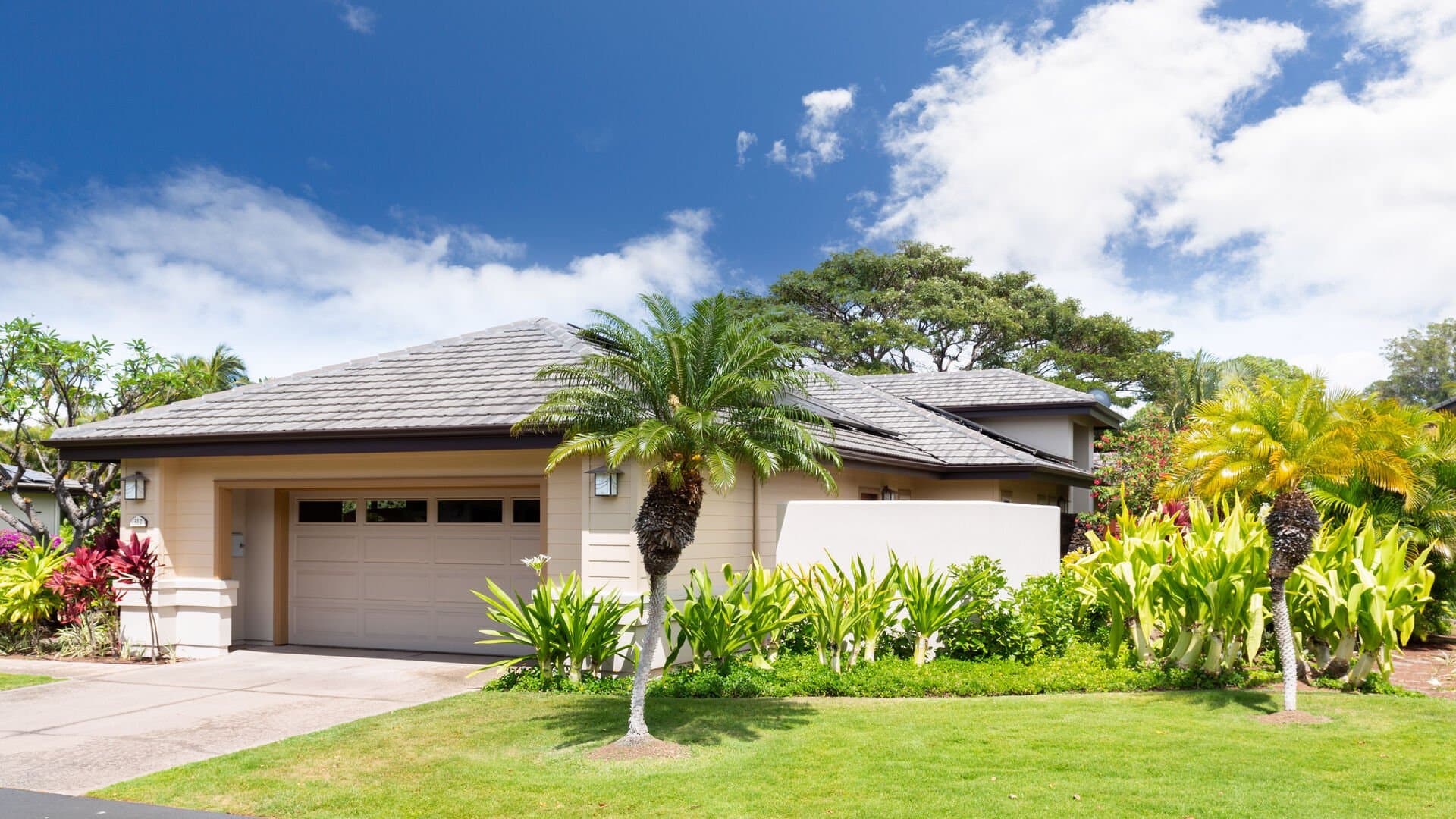 Hale Kanani - Image 43