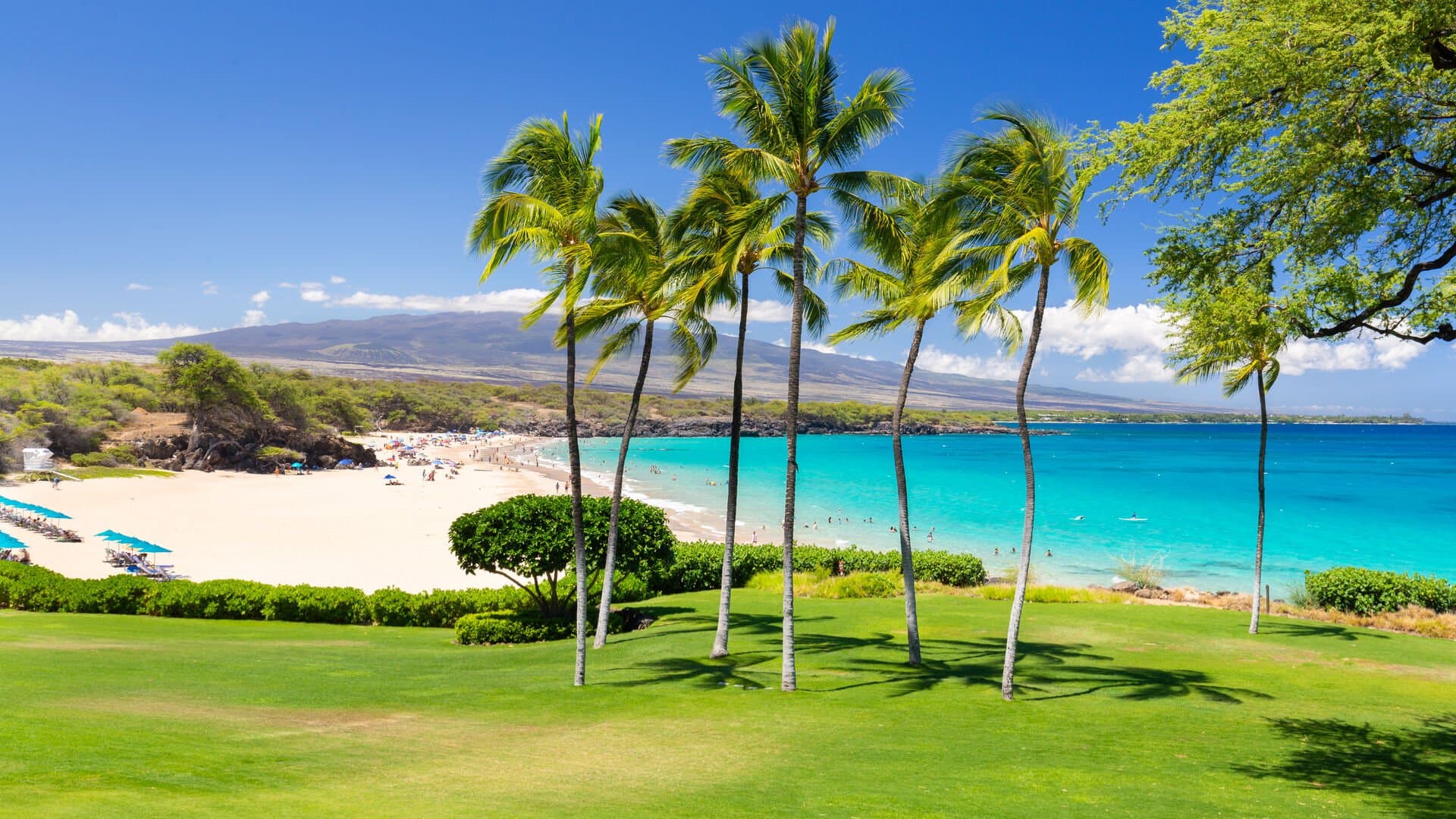 Aloha Spirit Villa - Image 56