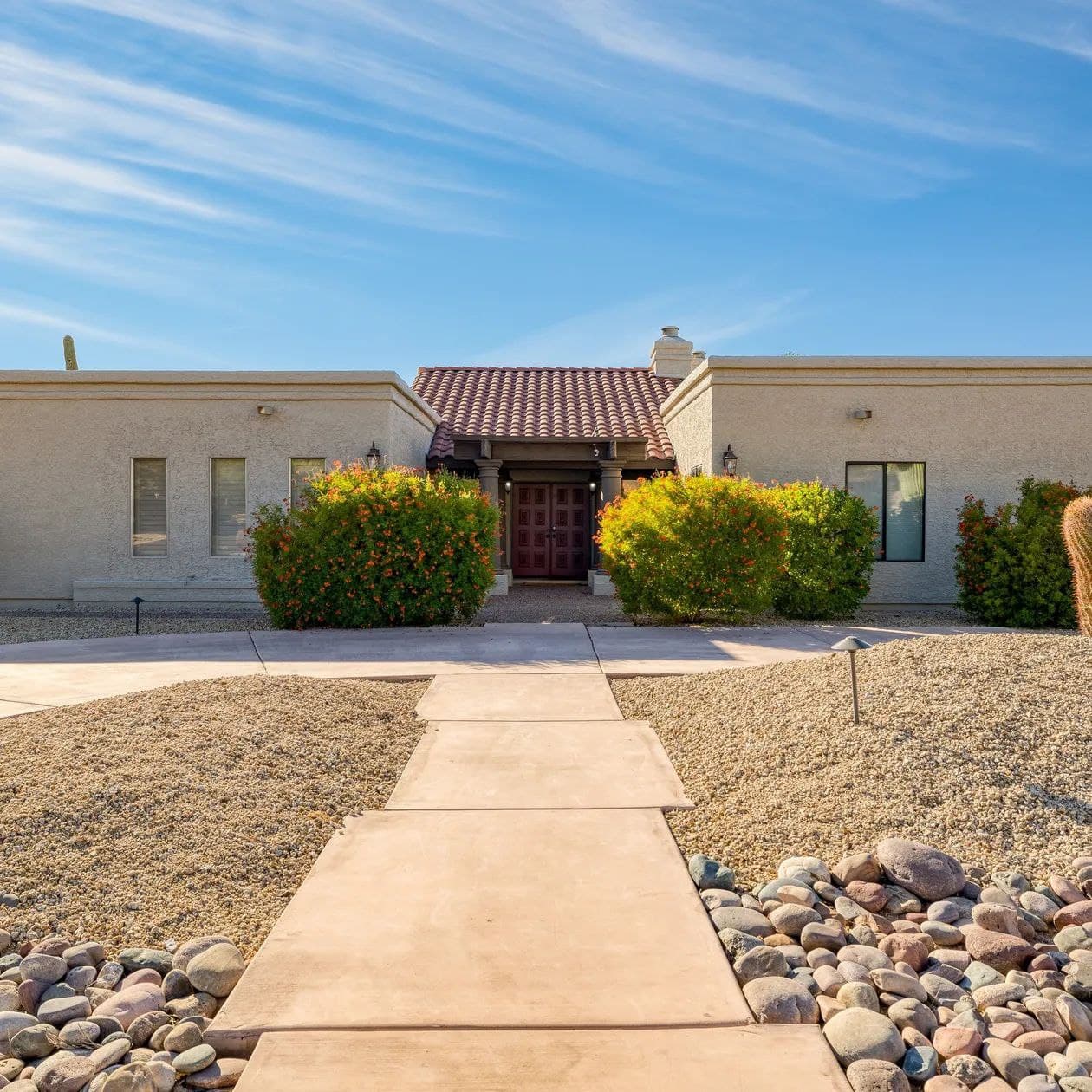 Sonoran Sunshine - Image 38