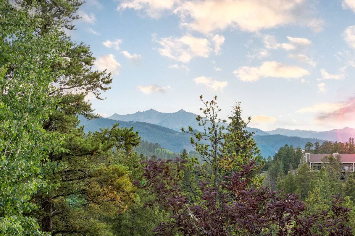 Four Sisters - Image 130