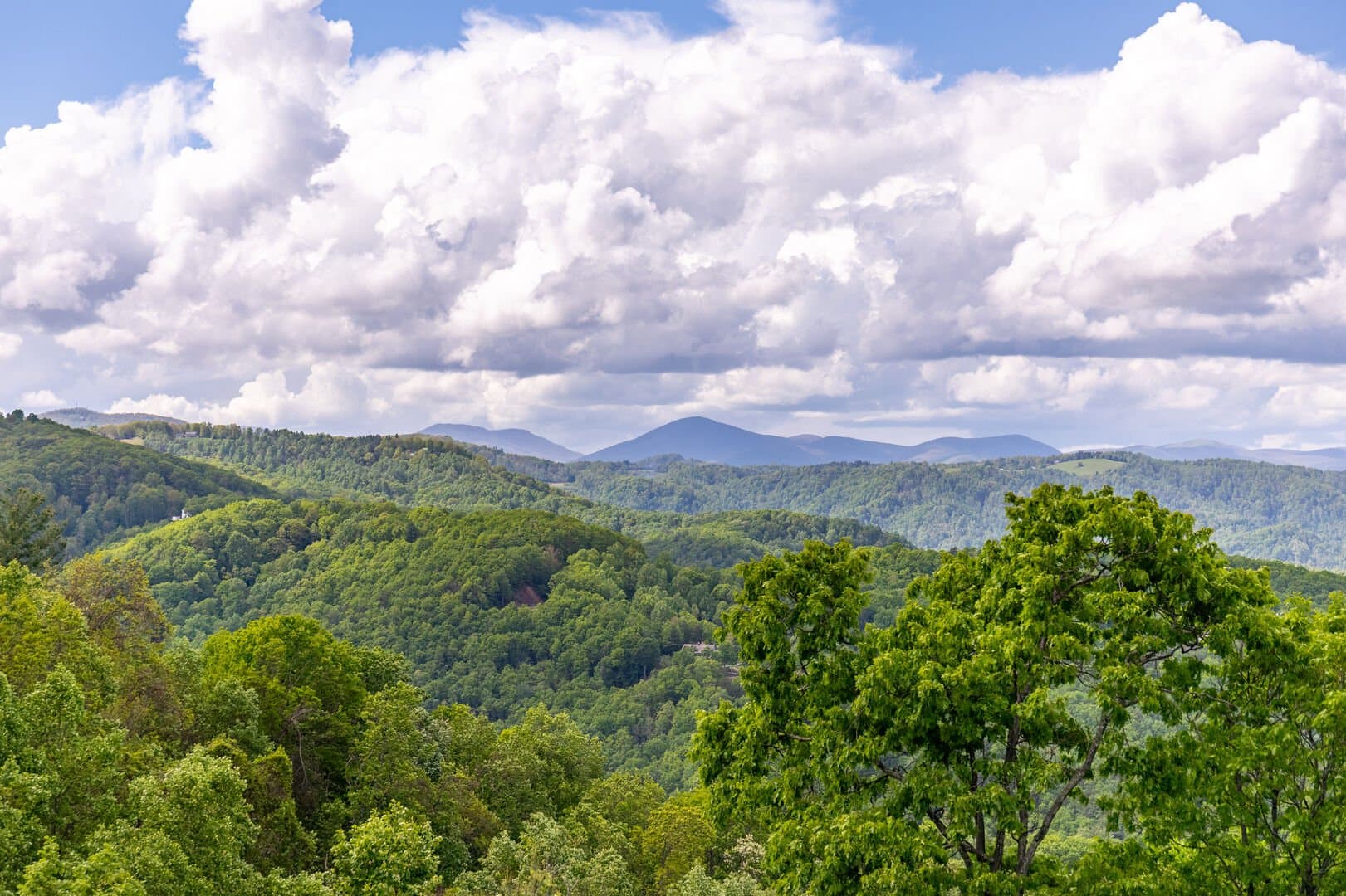 North Face Cottage - Image 53