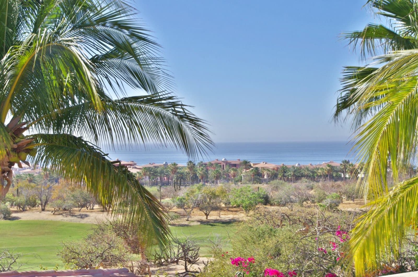 Tortuga Place - Image 53