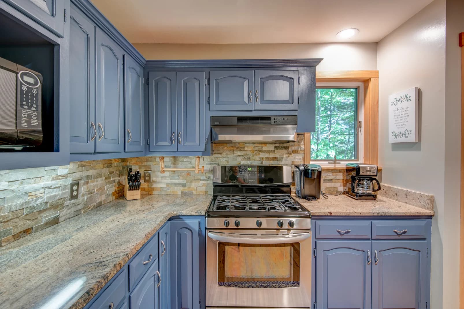 Paws a While - Image 16