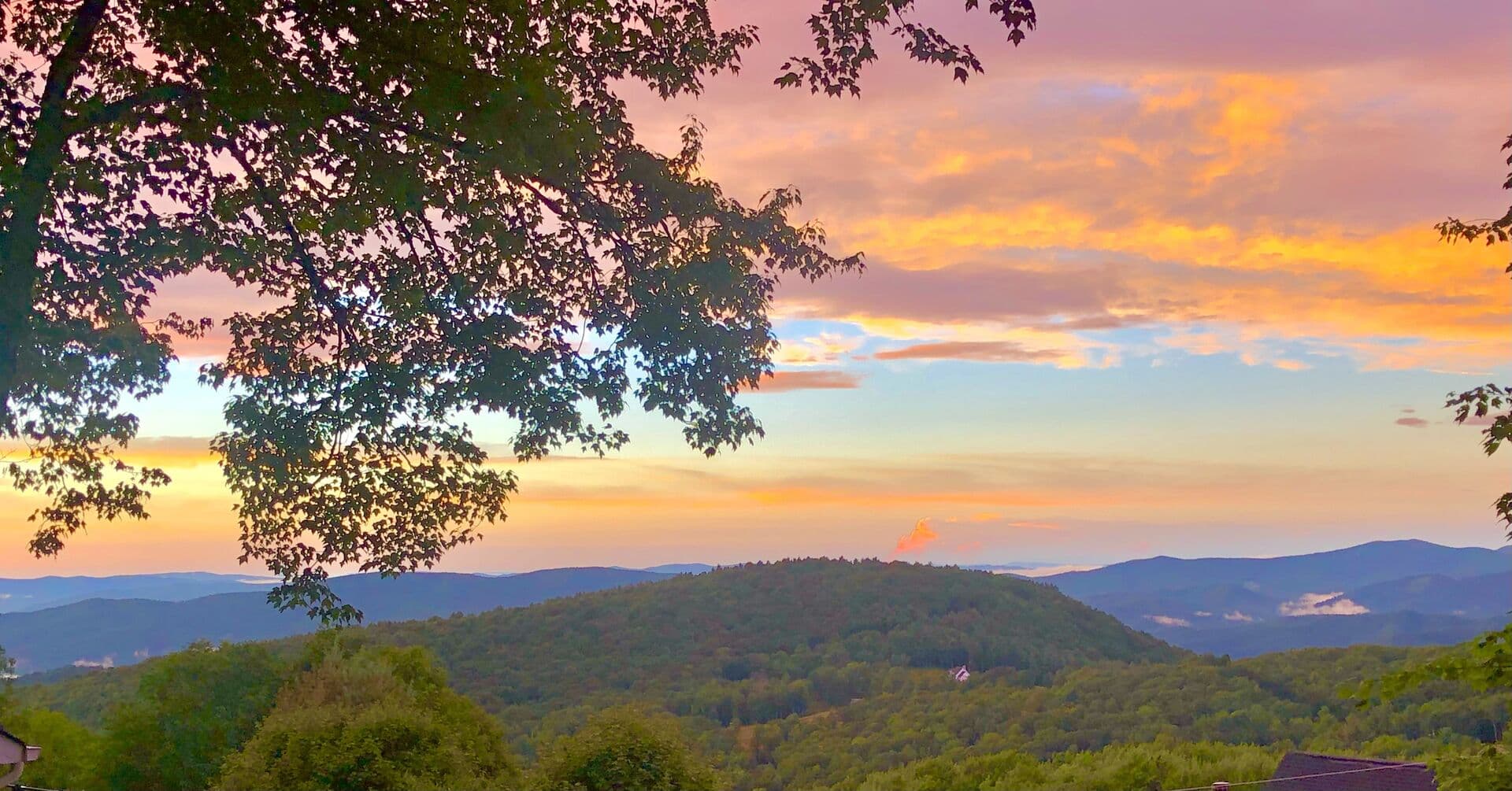 Beech Blessings - Image 42