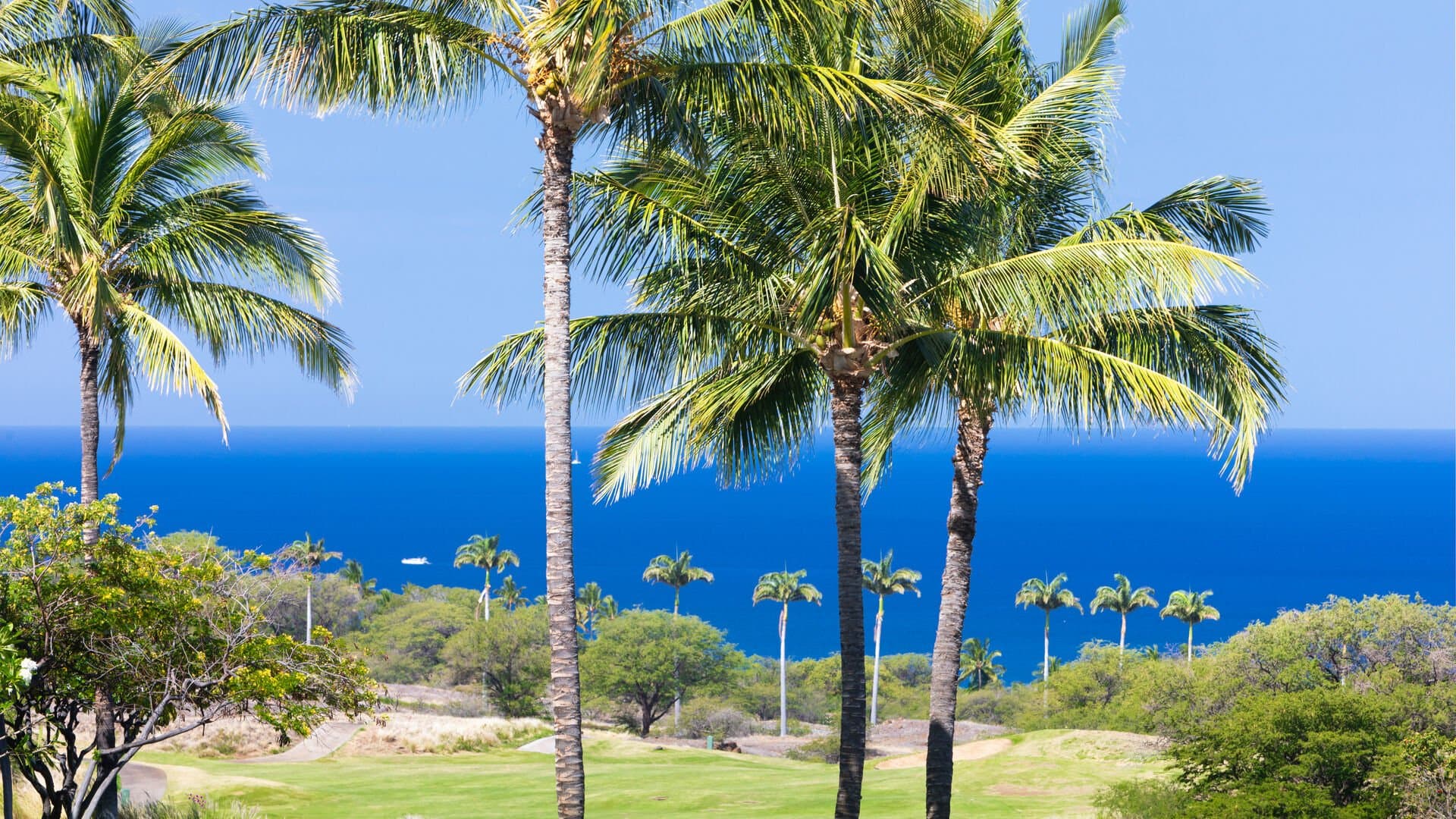 A Sea-nic Escape - Image 51