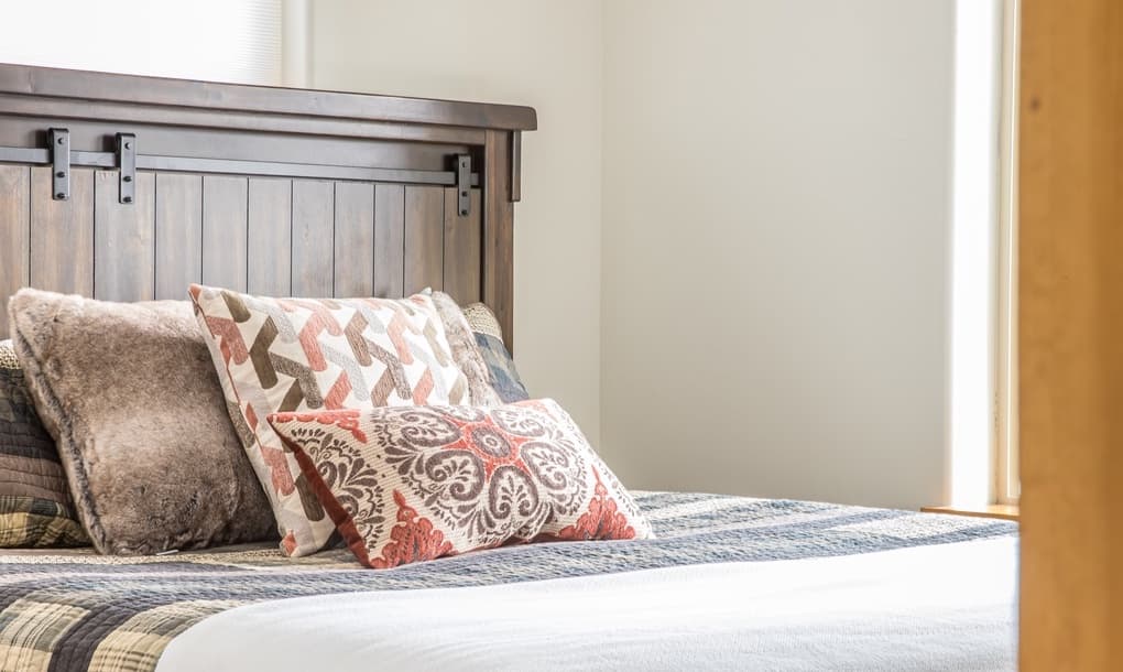 Blacktail Buck - Image 7