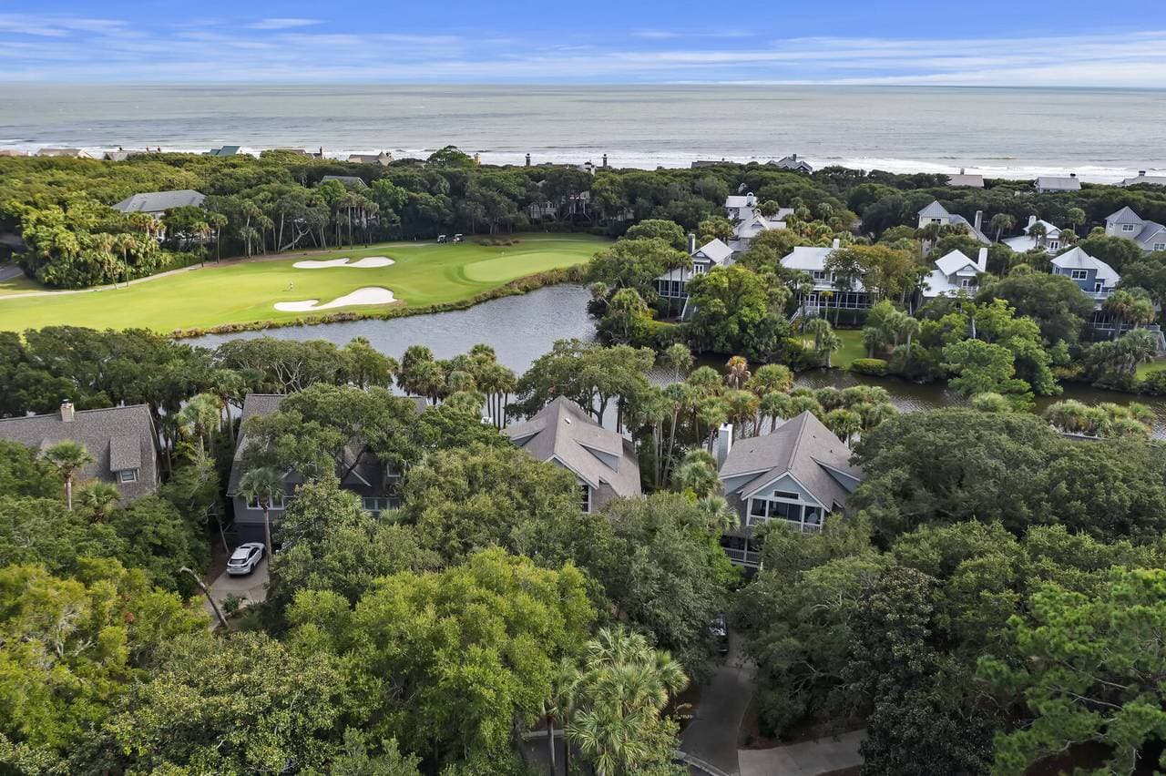 Silver Moss - Image 47