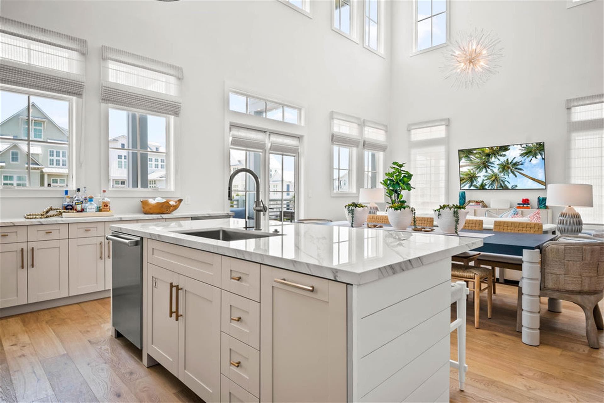 Coral Kingdom - Image 13