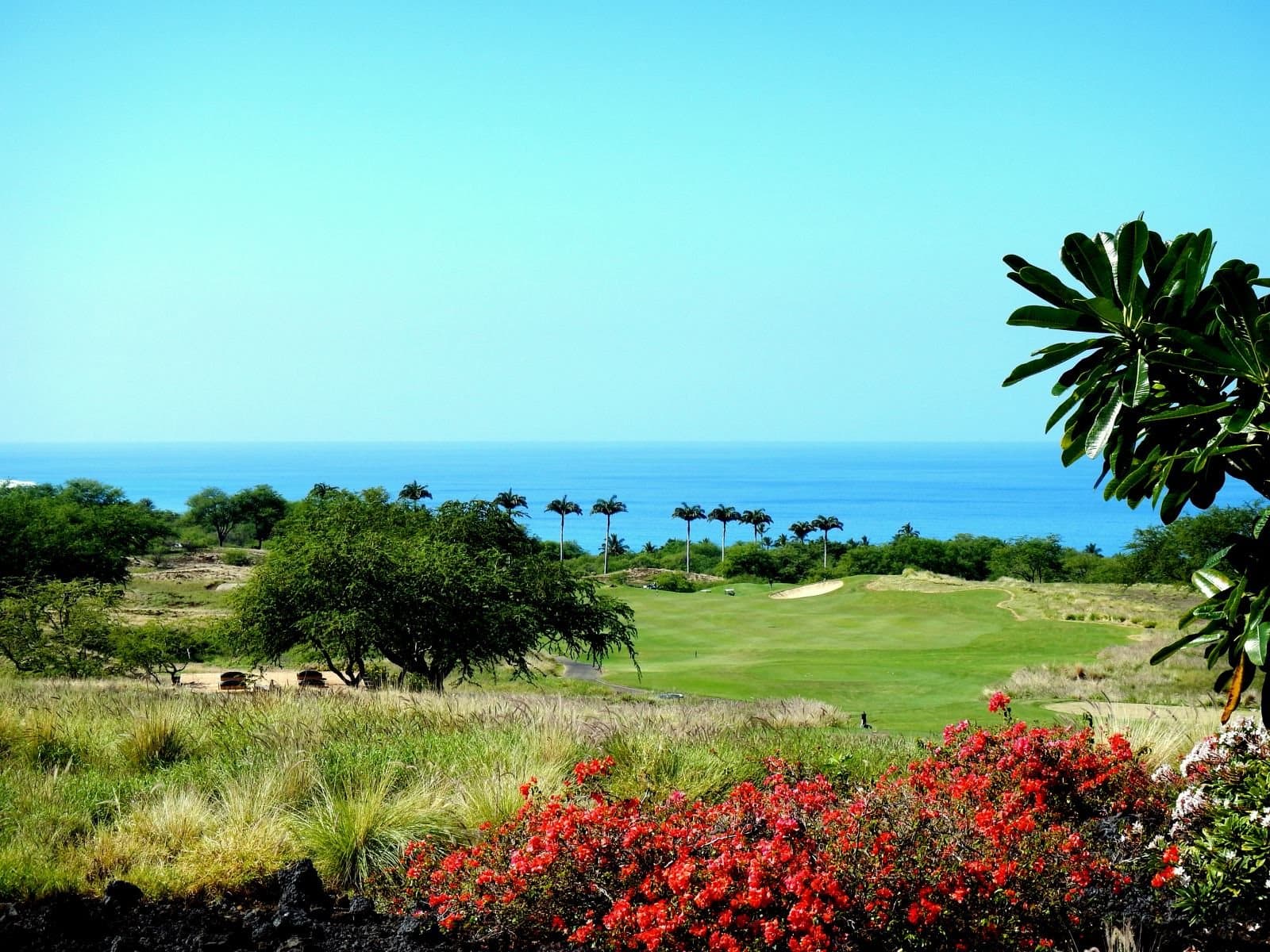 Amaui Residence - Image 5