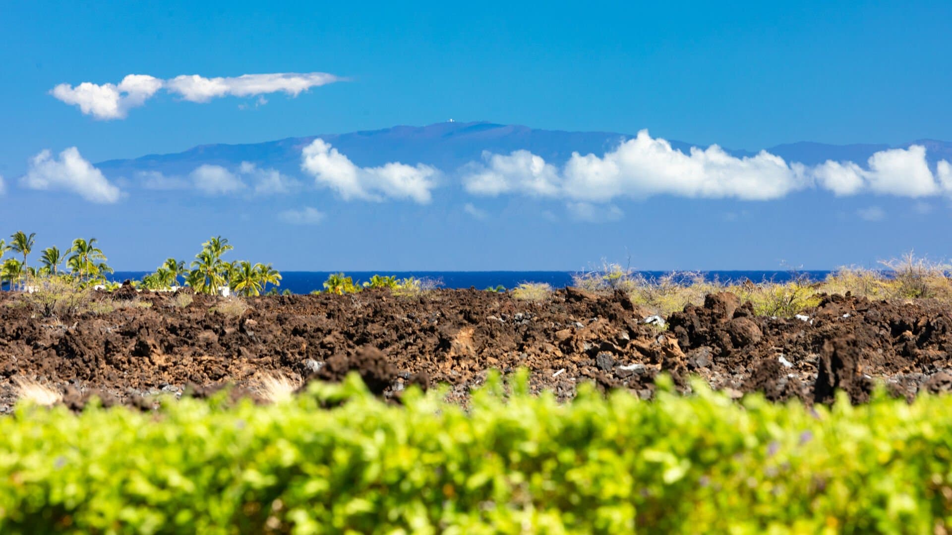 Sunset Breeze - Image 56