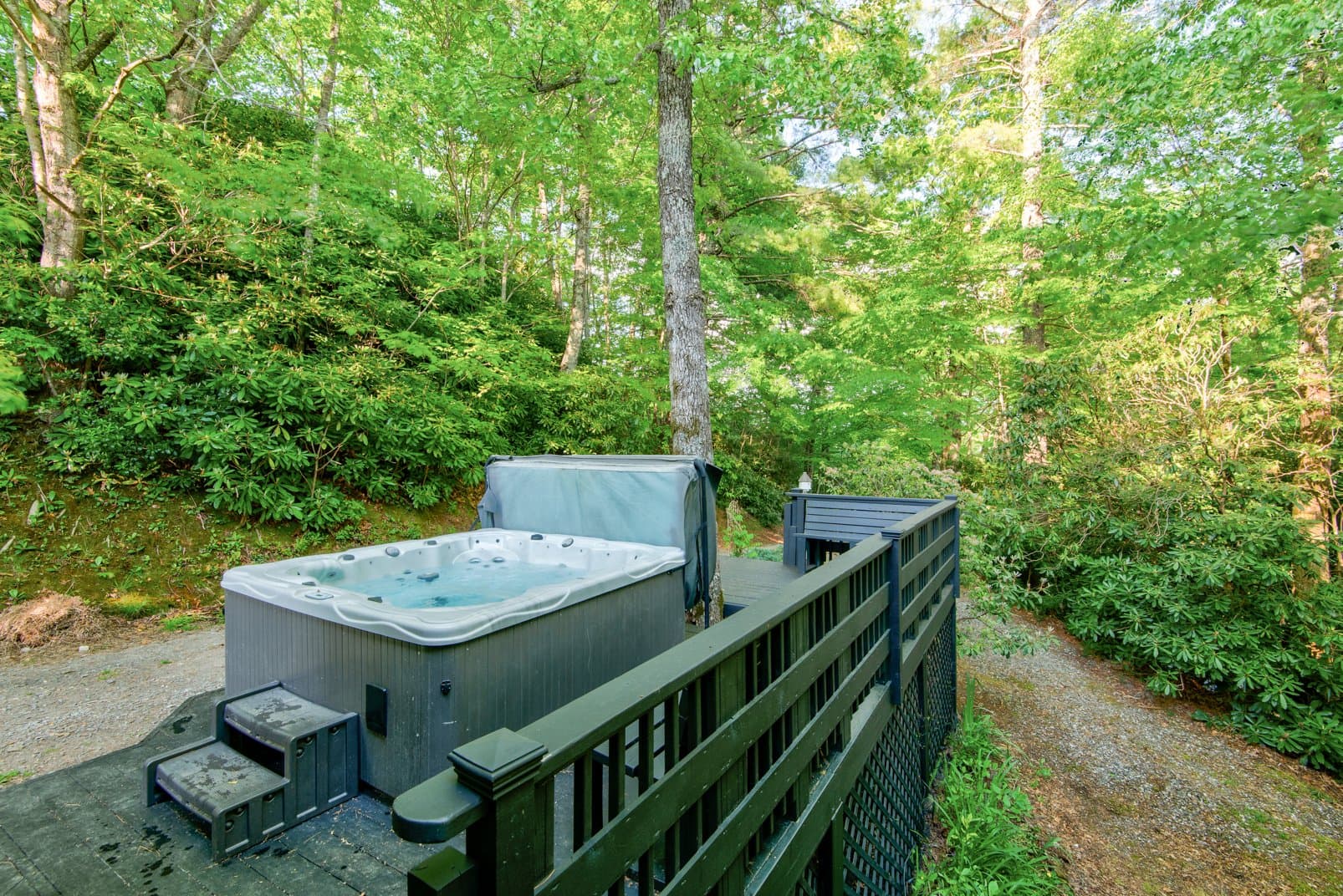 Paws a While - Image 48