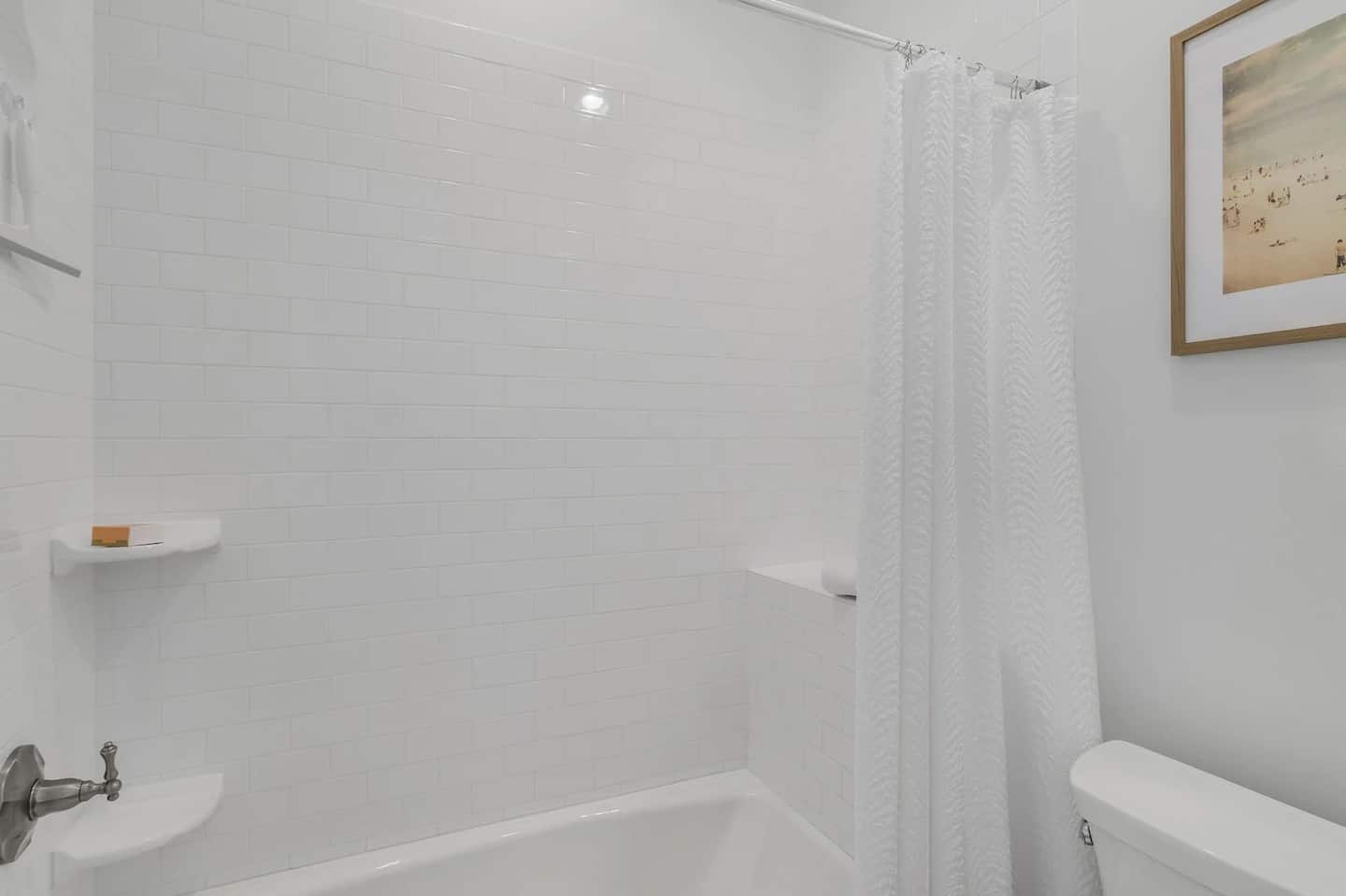 Longleaf Pines - Image 24