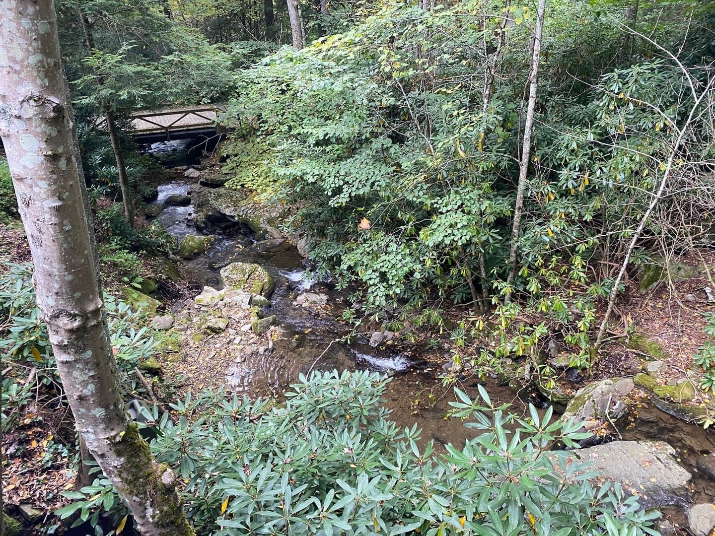 Sylvan Falls - Image 35