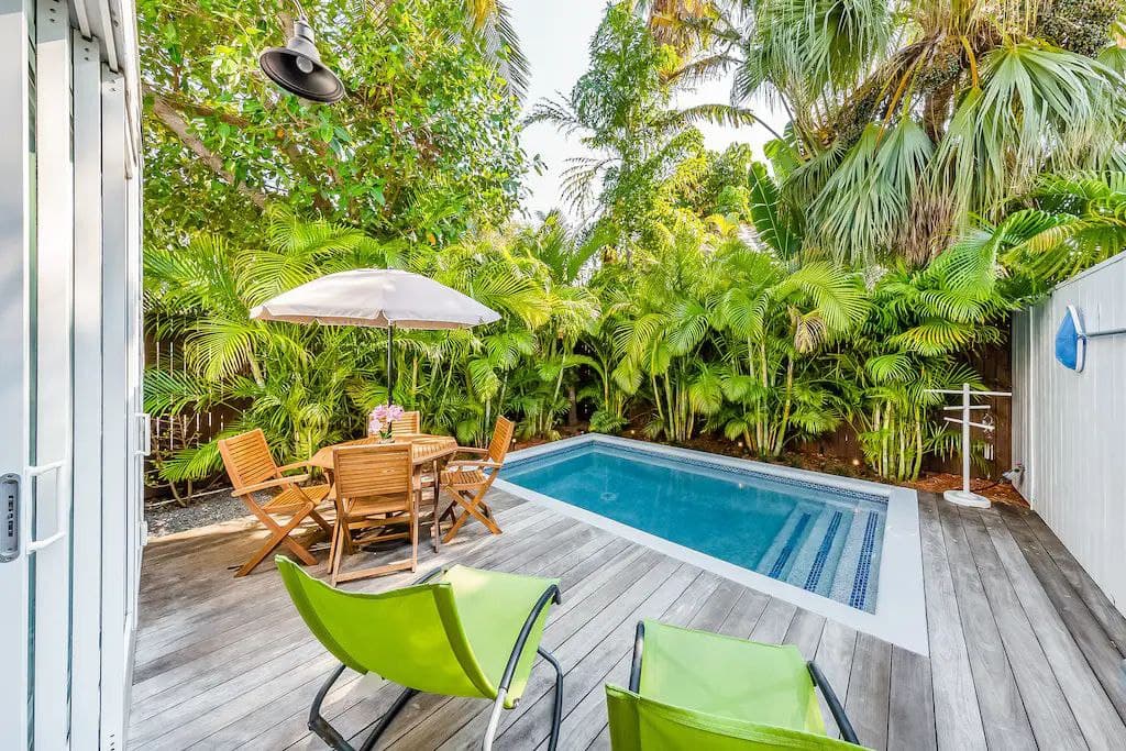 Tropical Vibes - Image 2