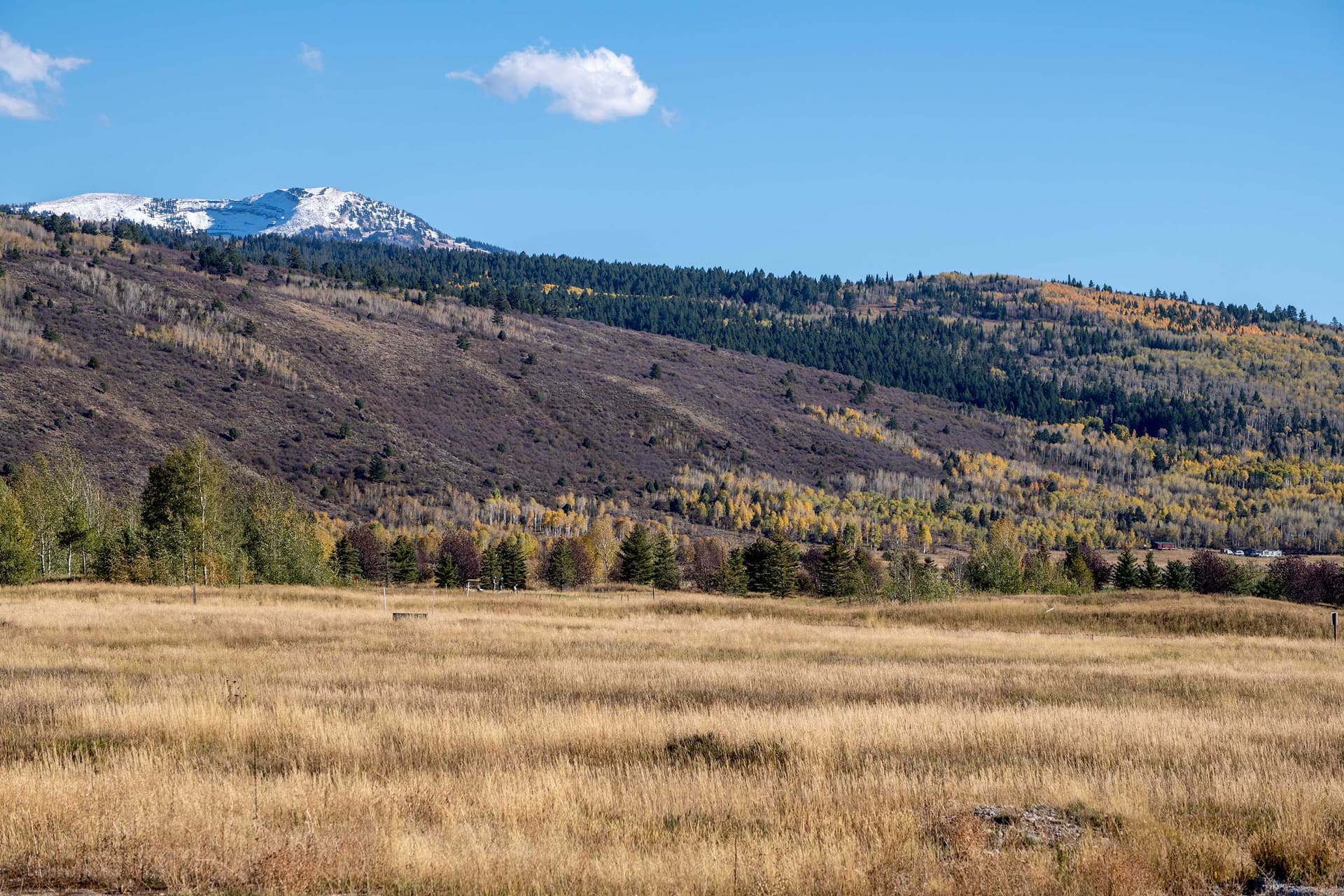 Bald Eagle Retreat - Image 3