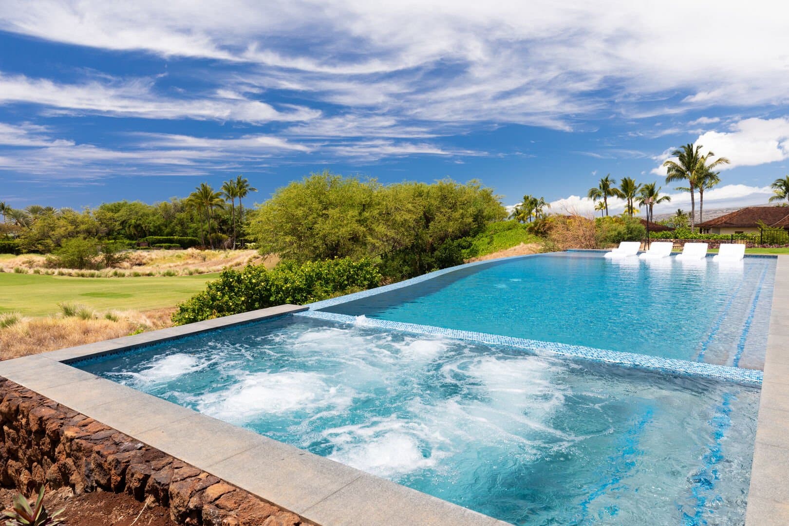 Hawaiian Elegance - Image 2