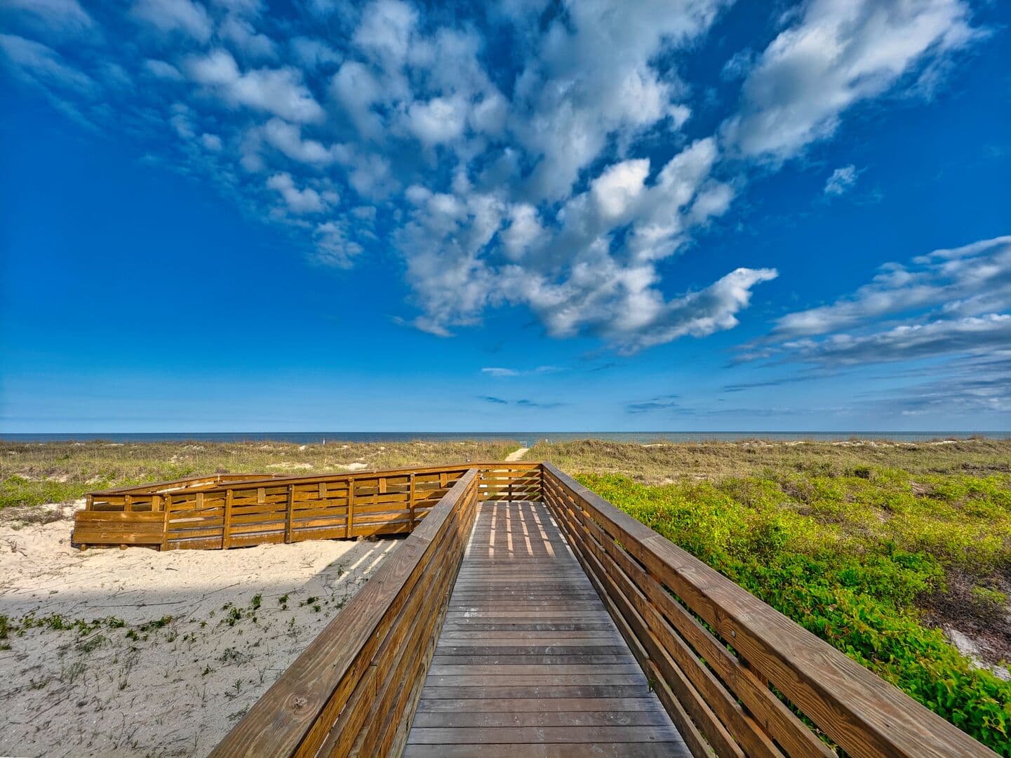 Turtle Tides - Image 3