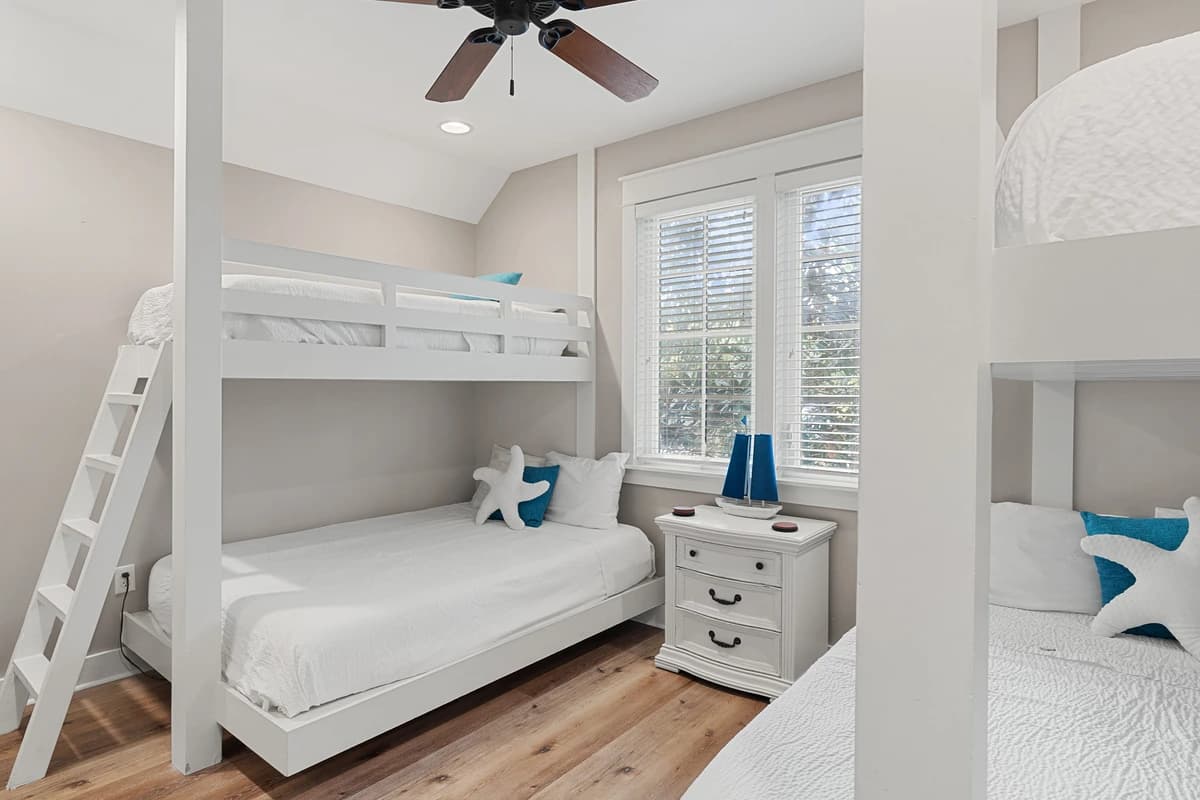 Coral Starfish - Image 18