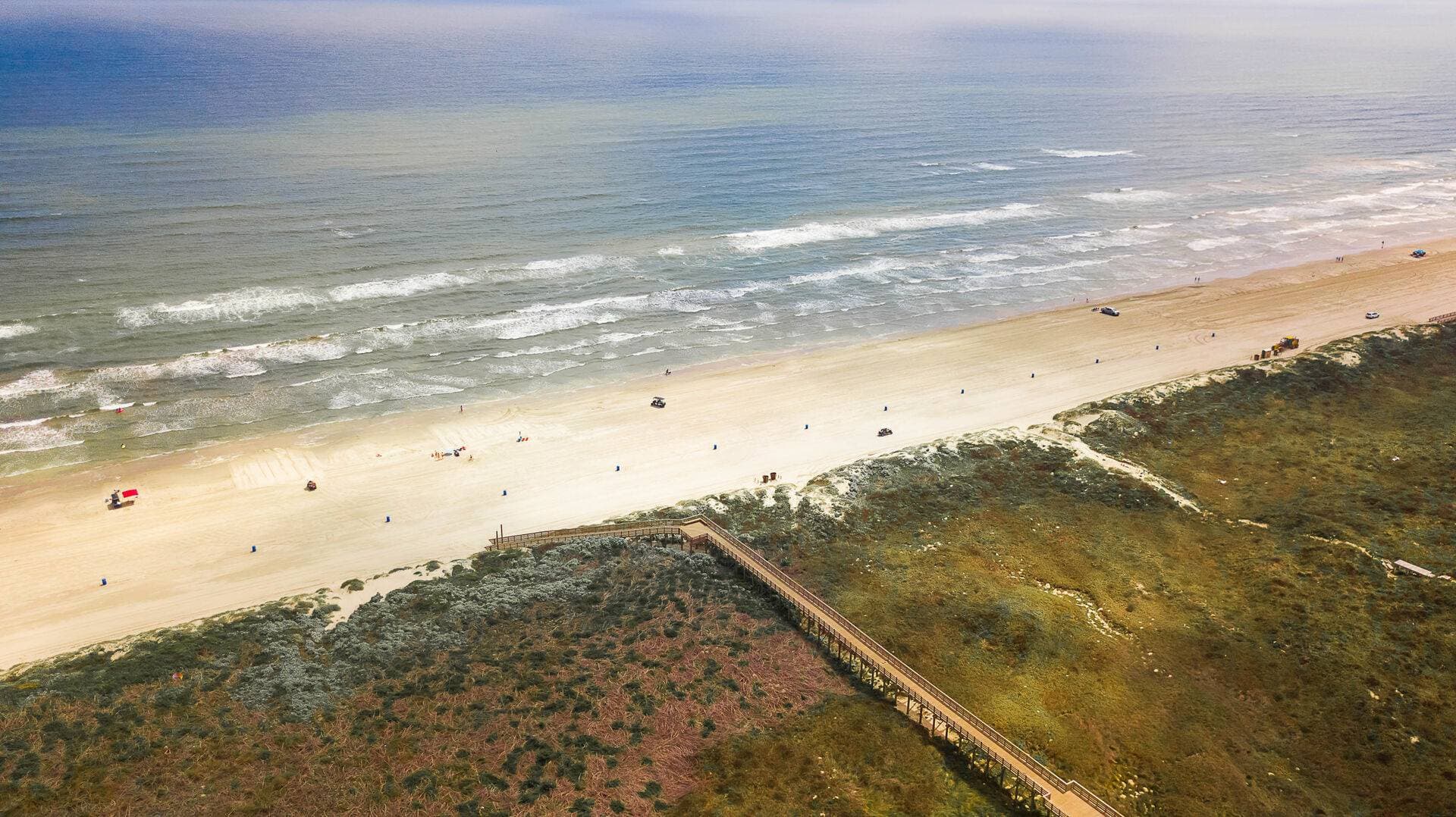 Blue Fin Oasis - Image 3