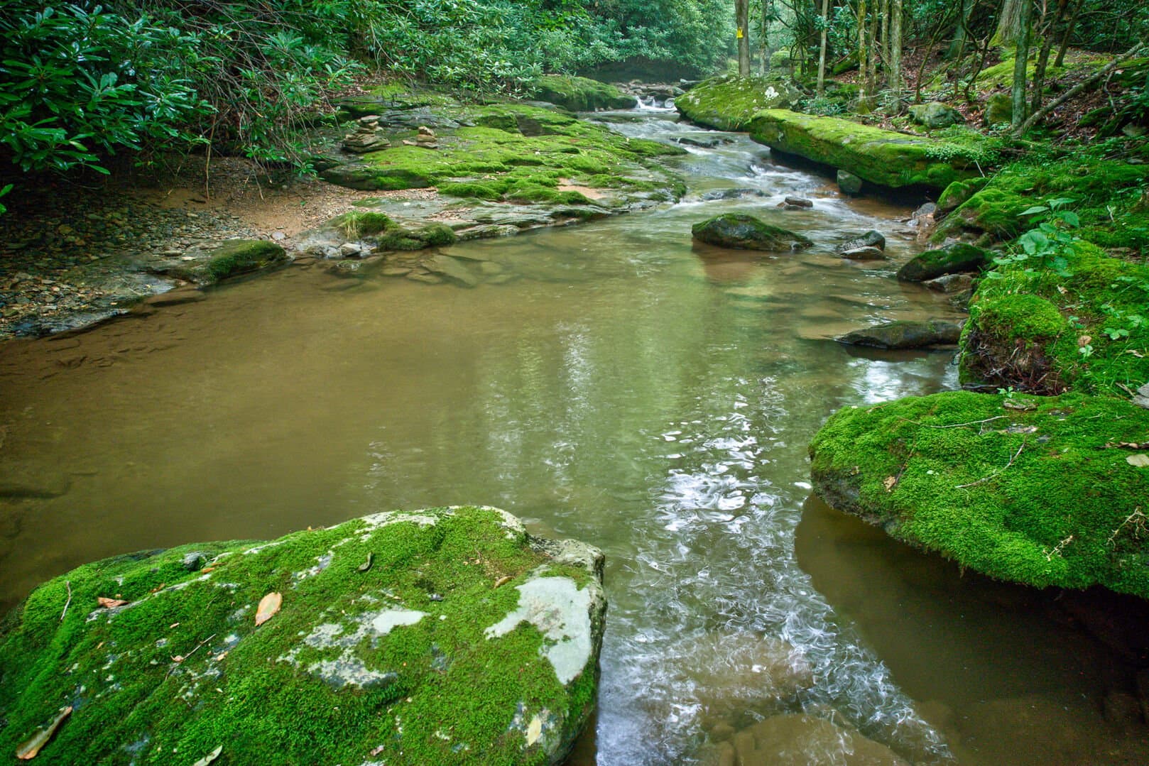 Beech Creek Cabin - Image 42