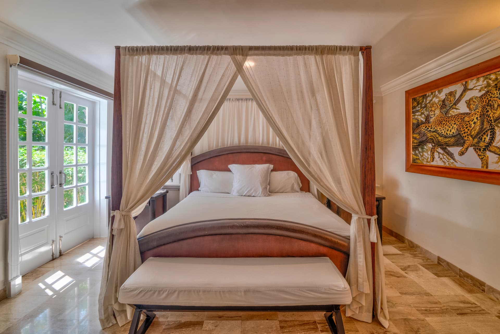 Tortuga #B28 - Image 16