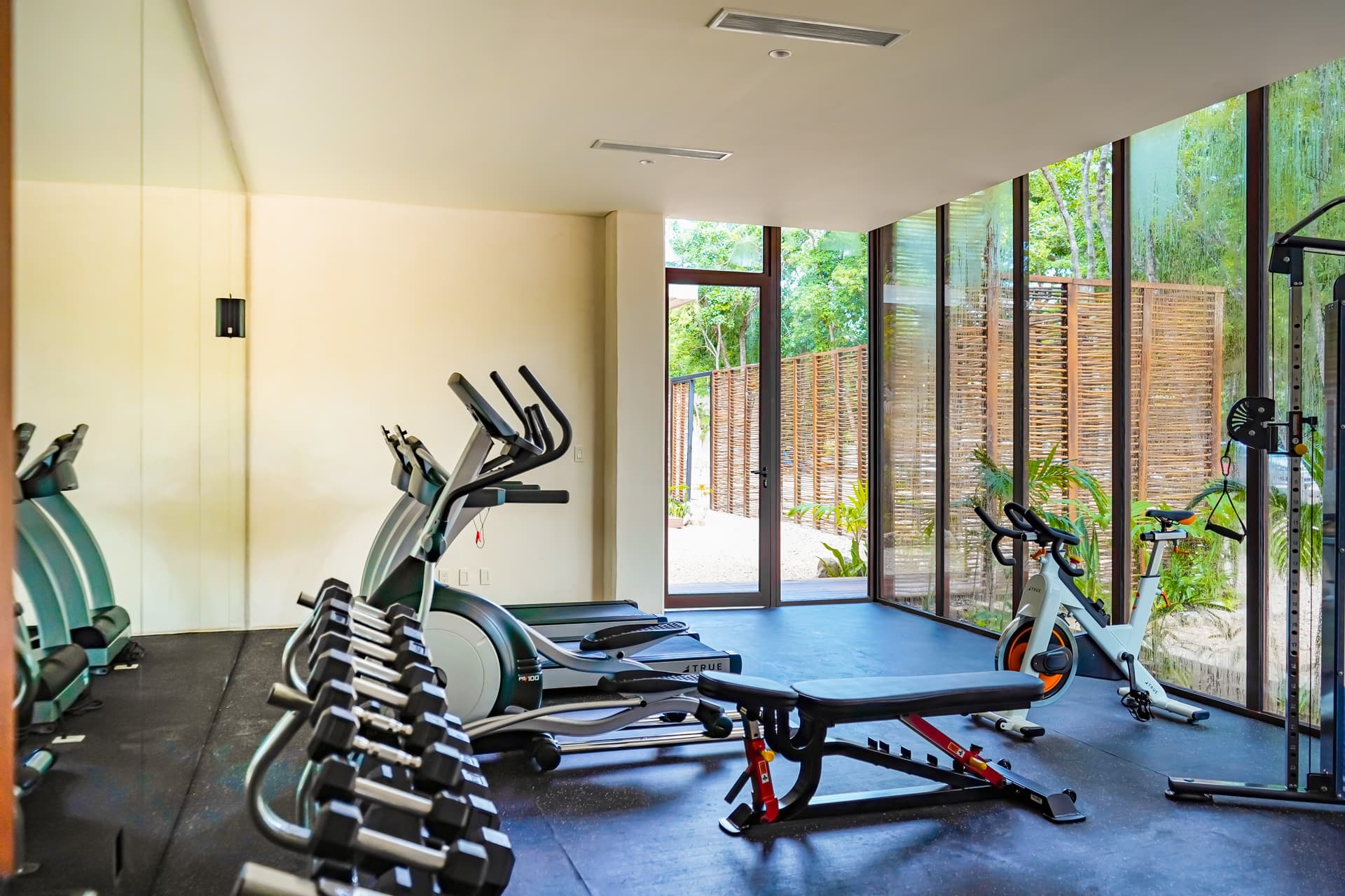 Cenote Azul Retreat - Image 2