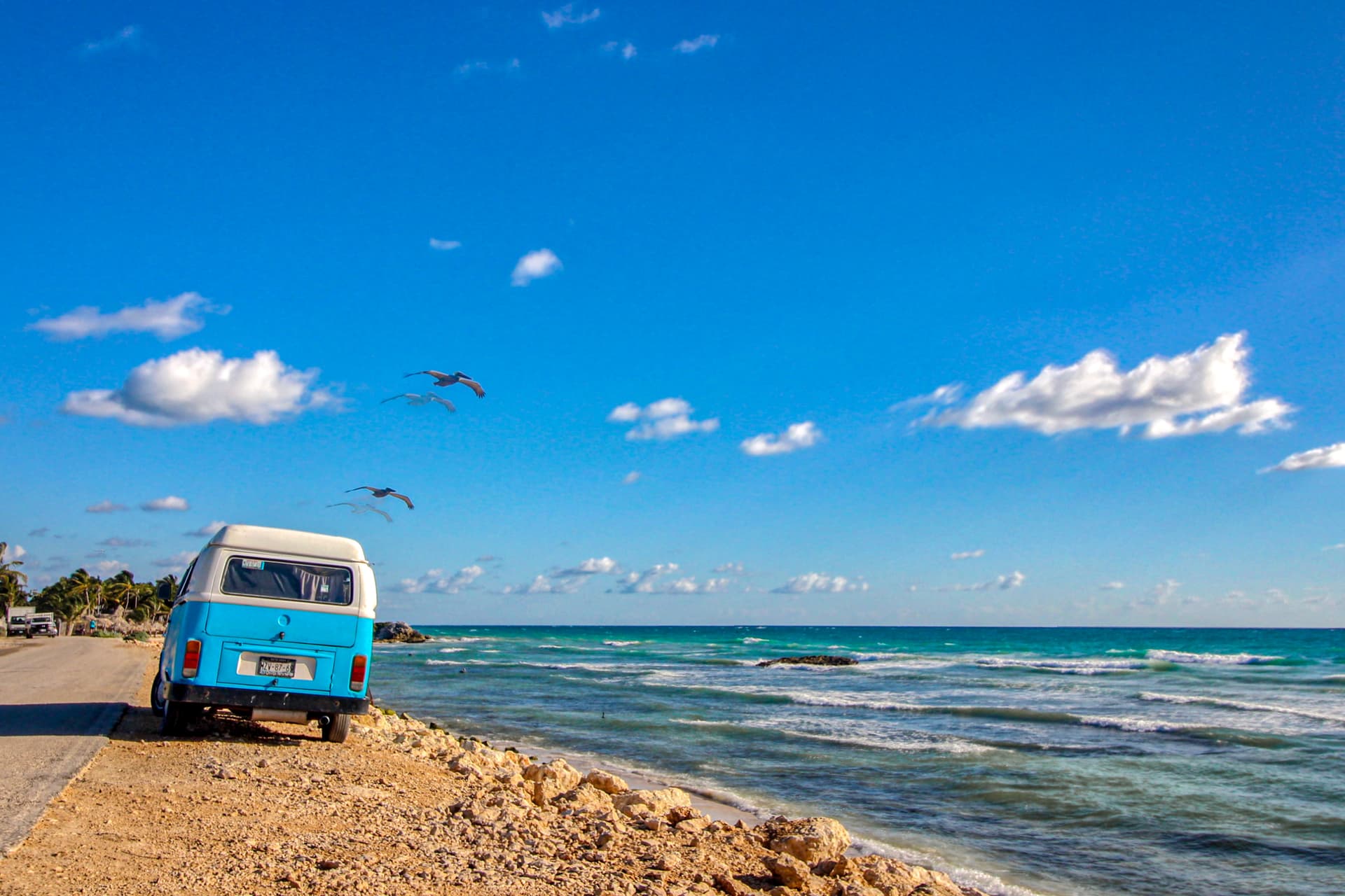 Gardens Coba - Image 39