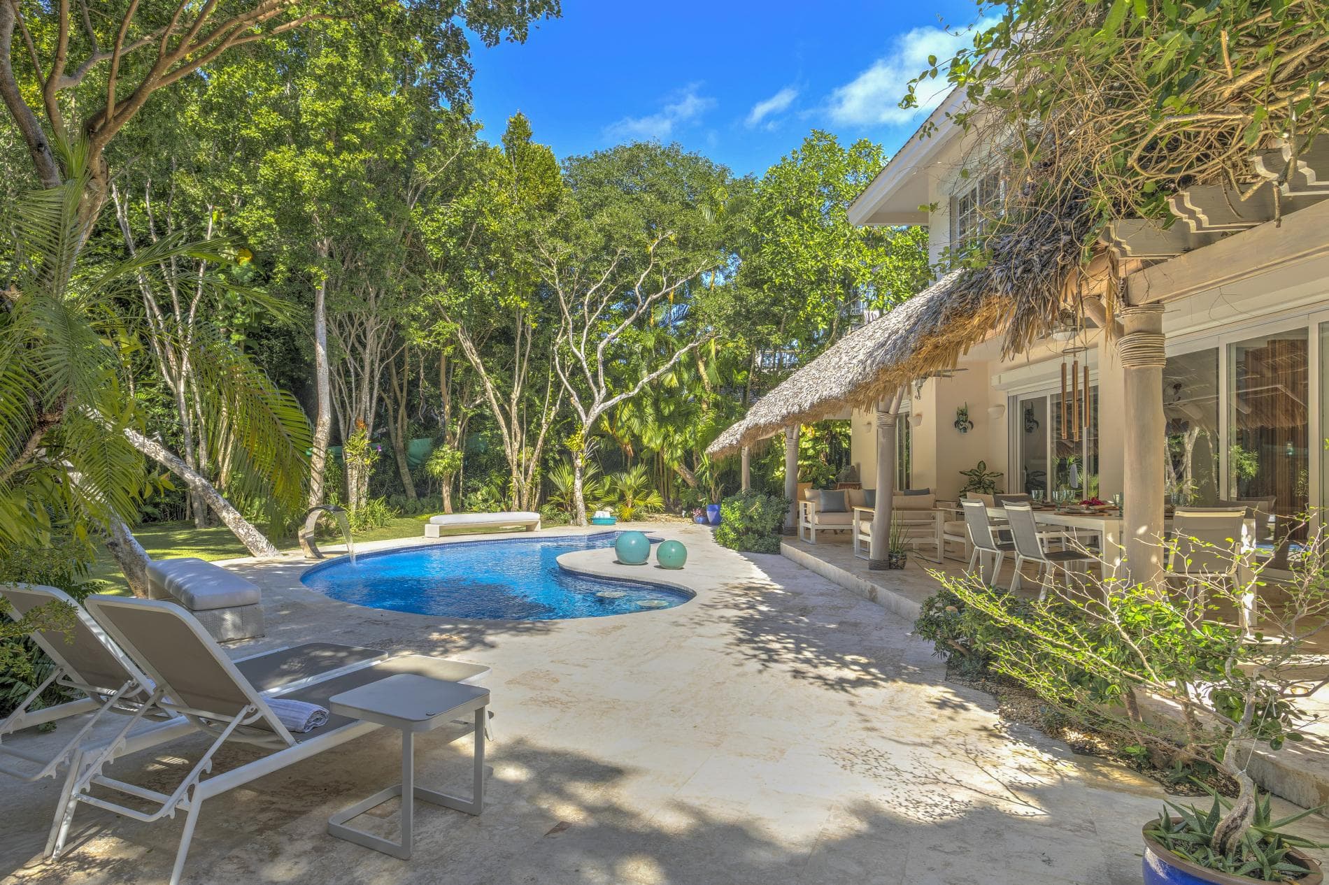 Tortuga #B55 - Image 2