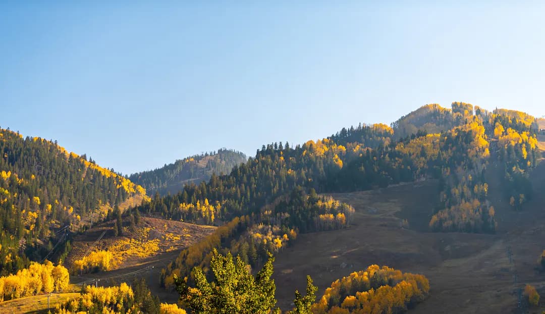 Aspen St. Lodge - Image 41