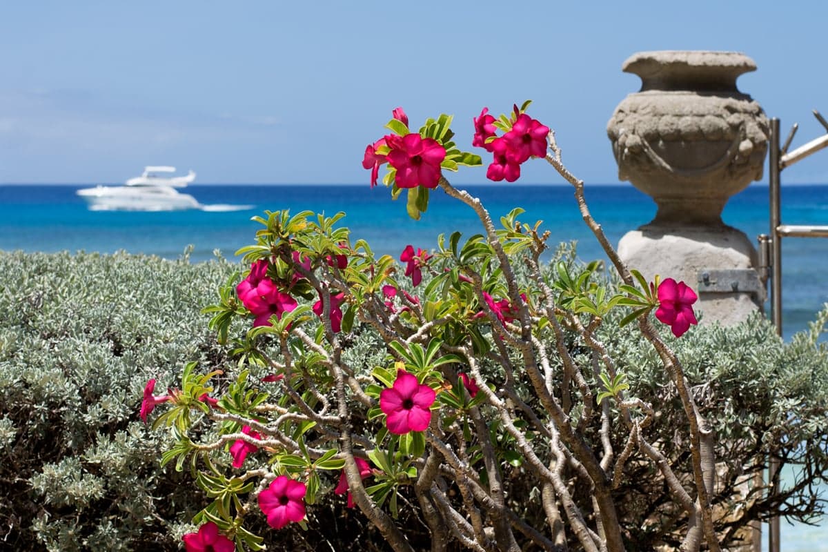 Leamington Pavilion - Image 23