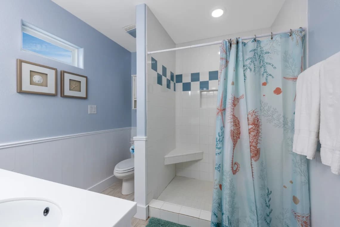 Diving Dolphin - Image 13