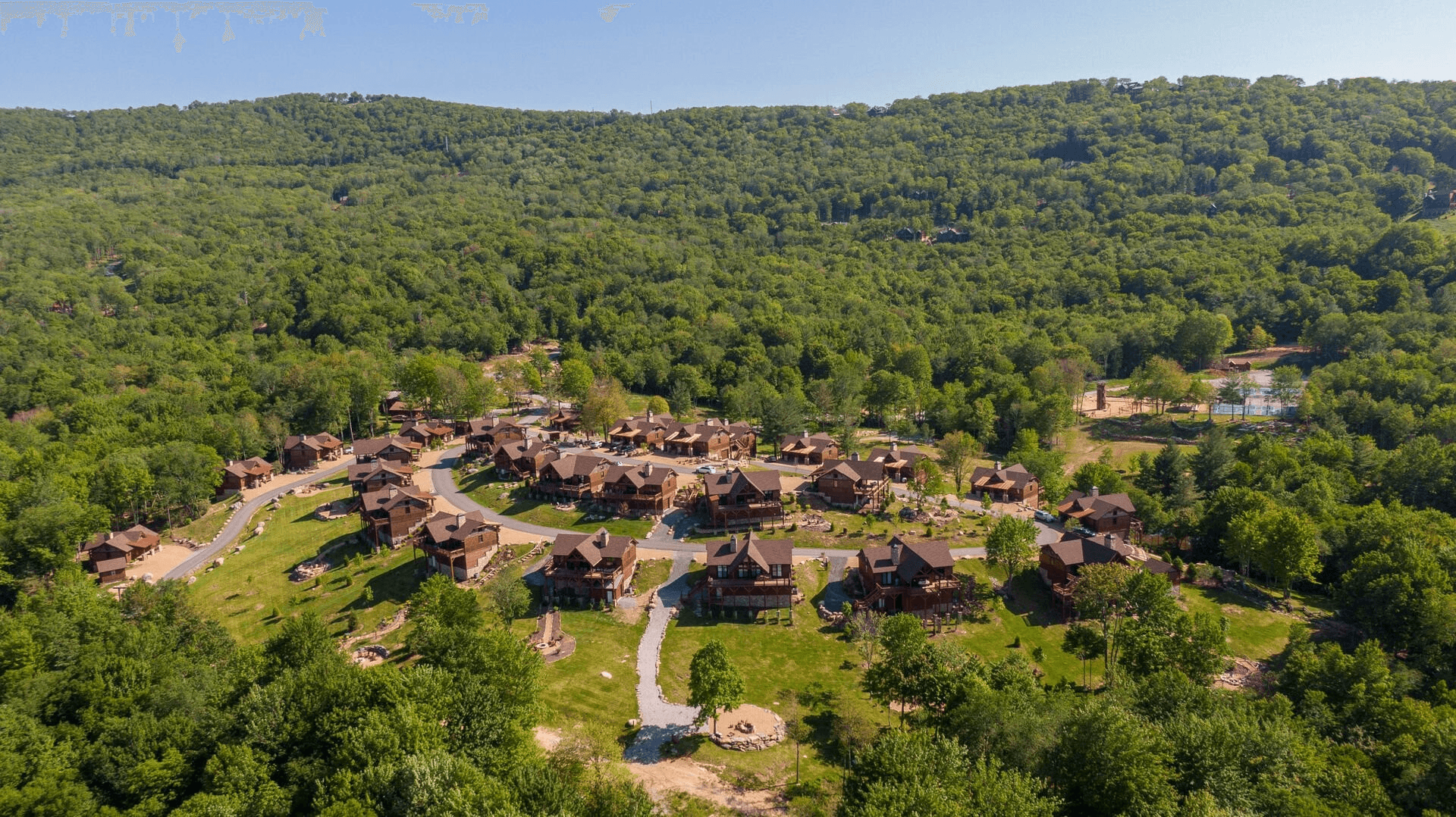 Black Bear Den - Image 17