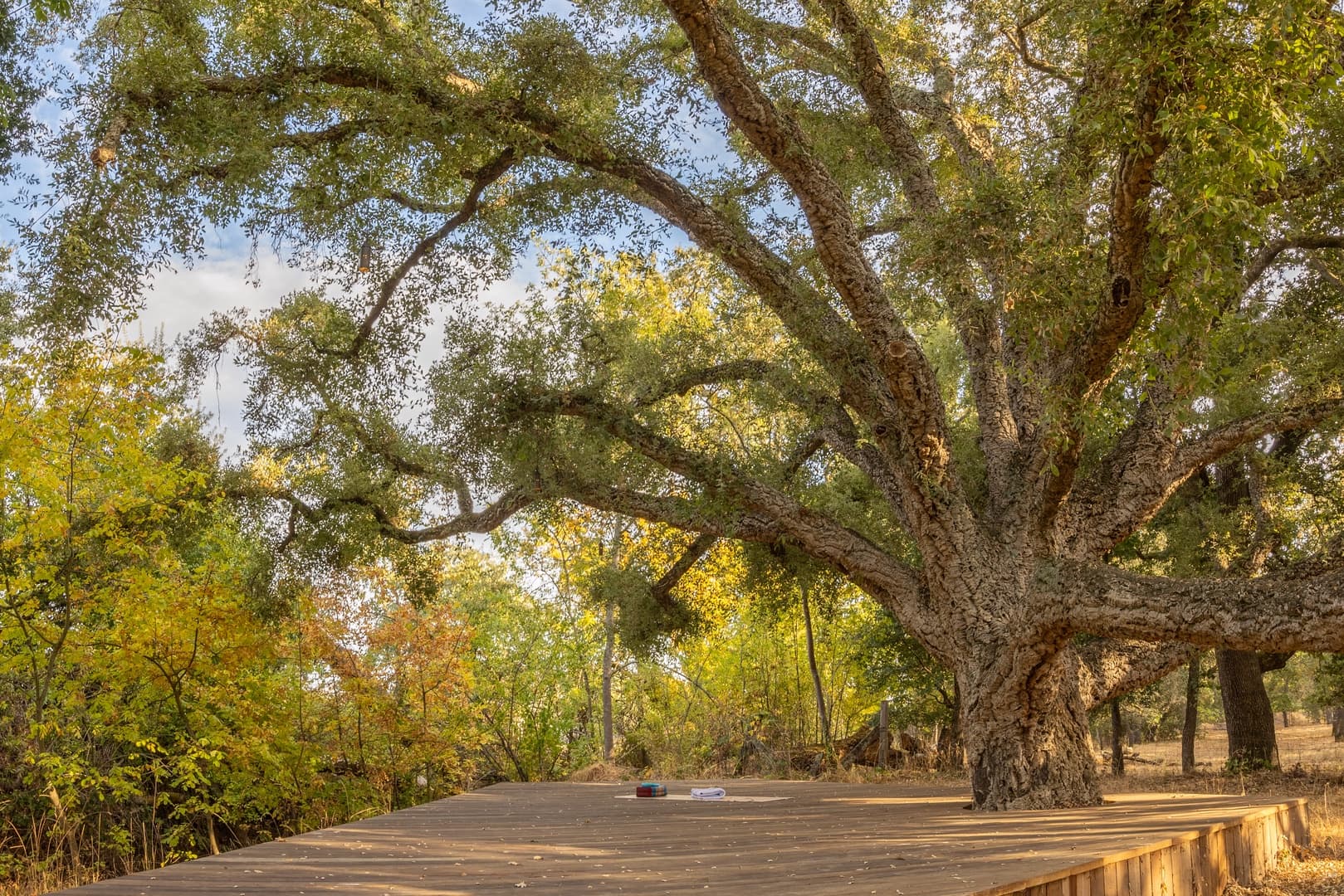 Fryer Creek Agriturismo - Image 50