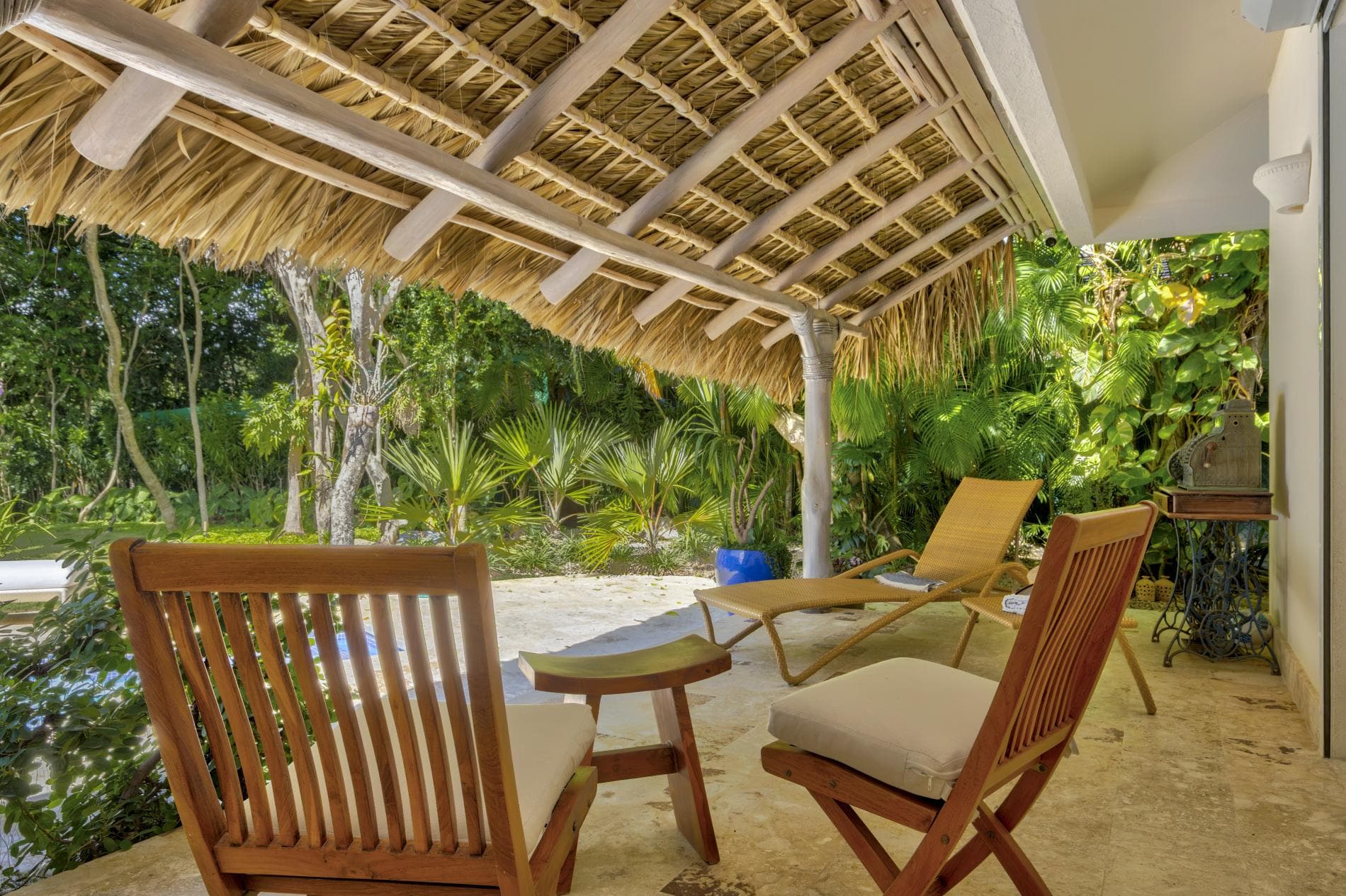 Tortuga #B55 - Image 23