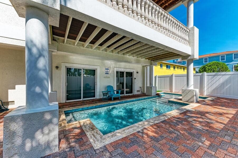 Island Nautilus - Image 2