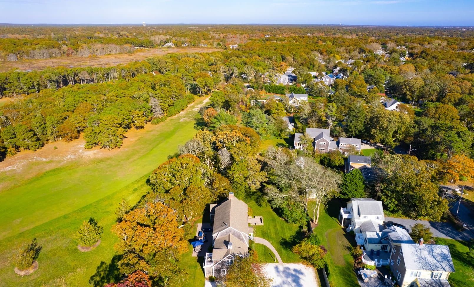 Beachy Keane - Image 33