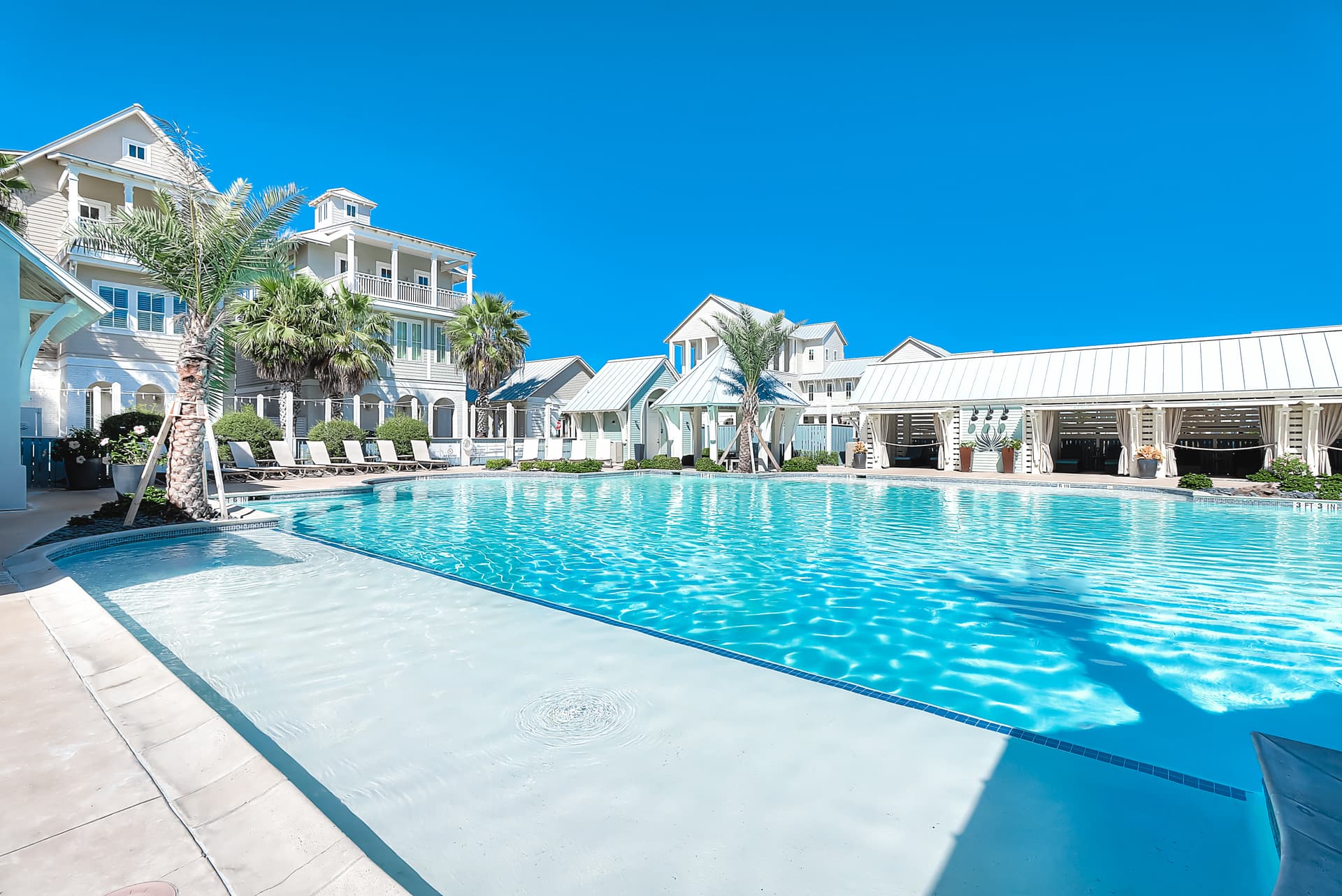 Sun-drenched on Sundew - Image 40