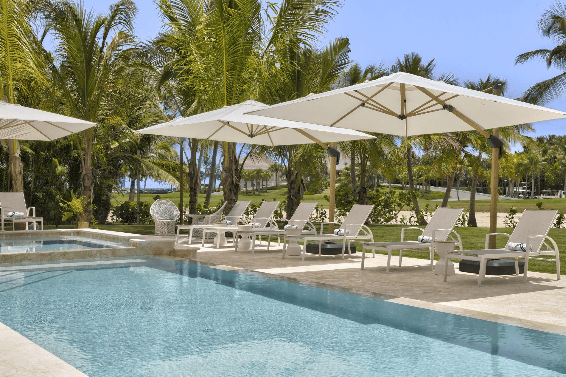 La Cana #H8 - Image 2