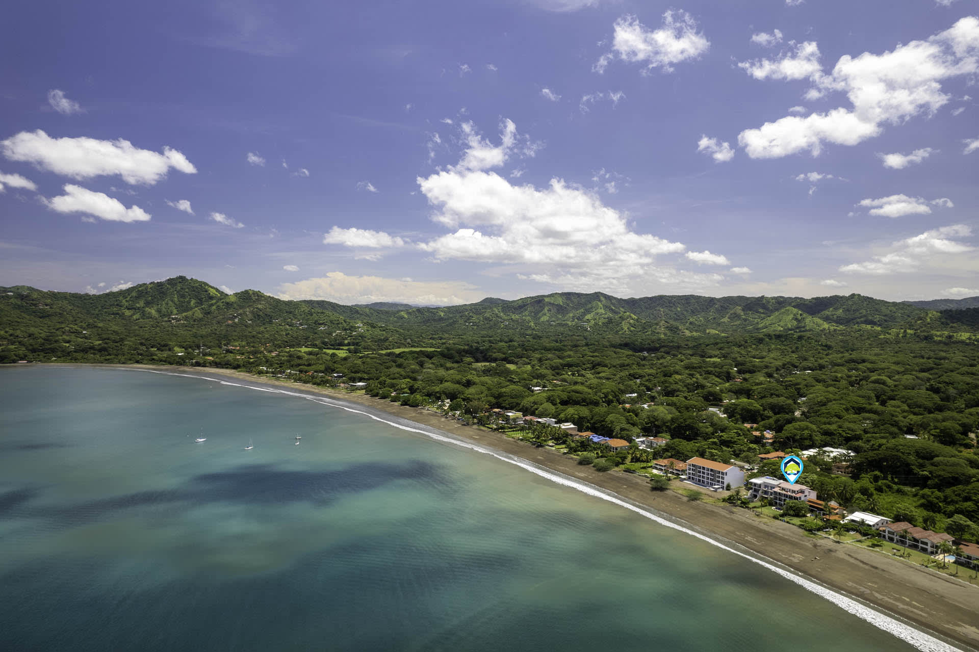 Twin Dolphins - Image 26