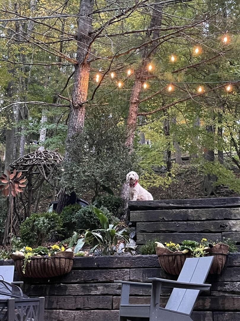 Anglers Cottage - Image 25